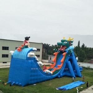 giant freefall inflatable water slide