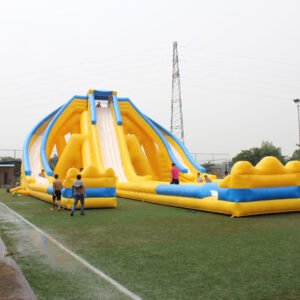 giant inflatable hippo water slide