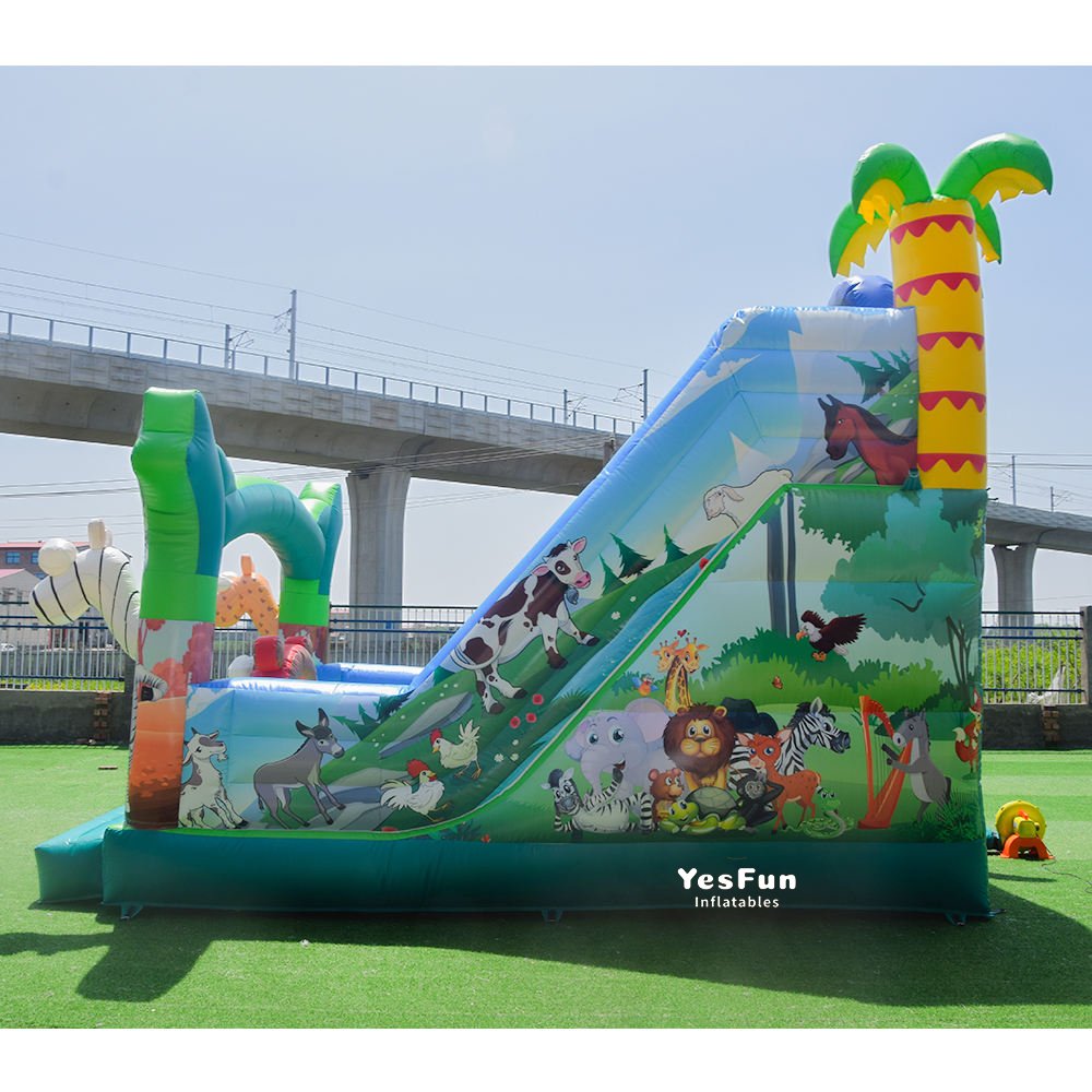 DS160d inflatable jungle slide