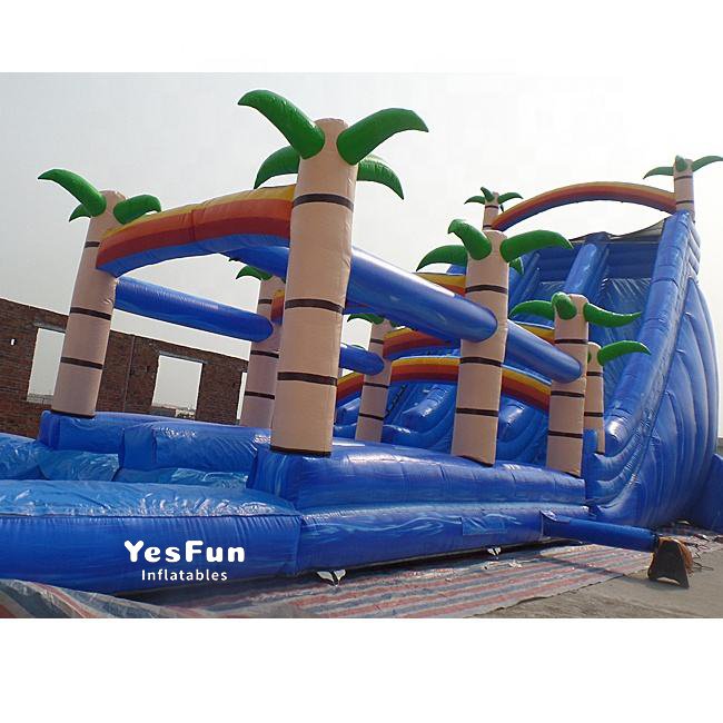 DS170d 拷贝 inflatable tropical water slide