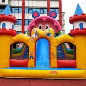 big inflatable slide