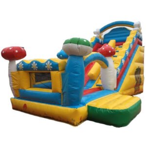 inflatable dry slide